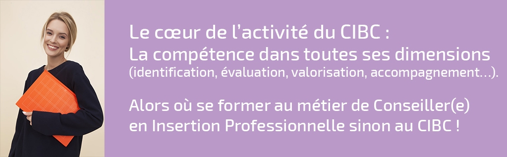 Titre professionnel Conseiller(ère) en insertion professionnelle